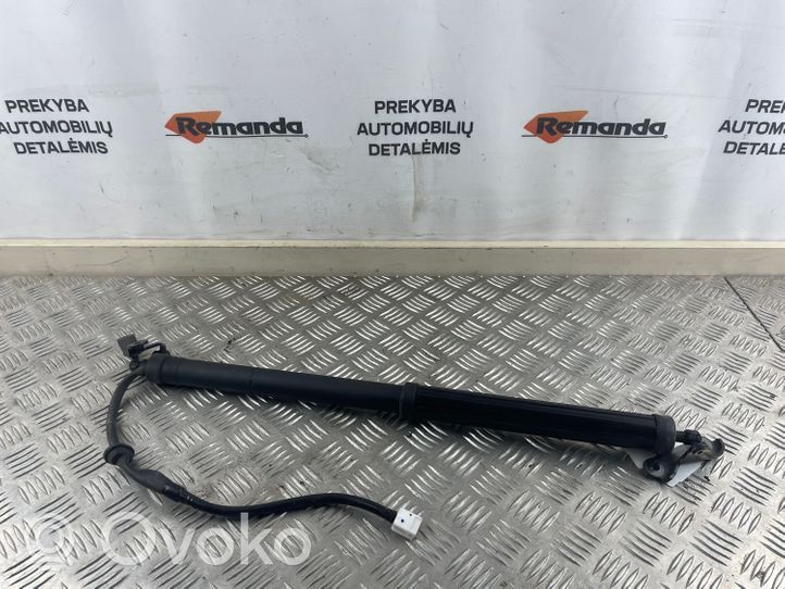 Toyota RAV 4 (XA50) Amortisseur vérin de hayon trappe 6892042020