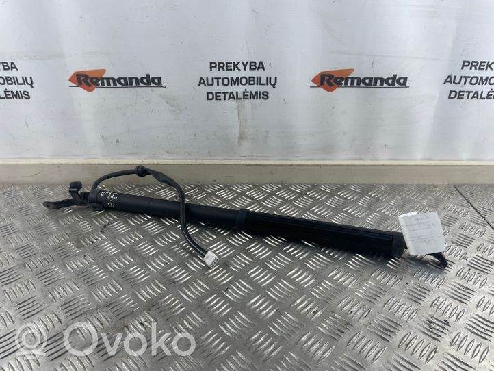 Toyota RAV 4 (XA50) Amortisseur vérin de hayon trappe 6892042020