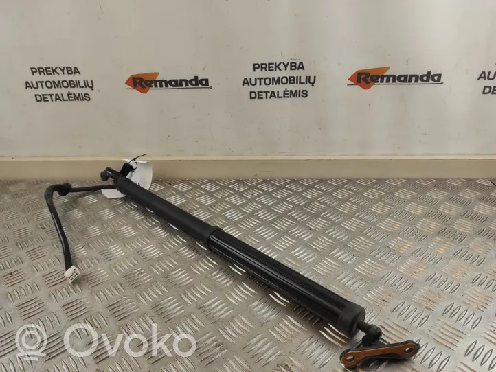 Toyota RAV 4 (XA50) Jambe de force de hayon 6892042020