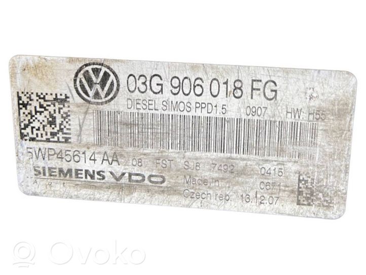 Volkswagen PASSAT B6 Moottorin ohjainlaite/moduuli 03G906018FG