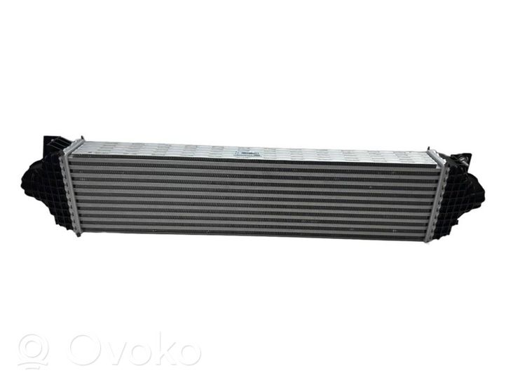 Ford Galaxy Chłodnica powietrza doładowującego / Intercooler E1G36K775HB