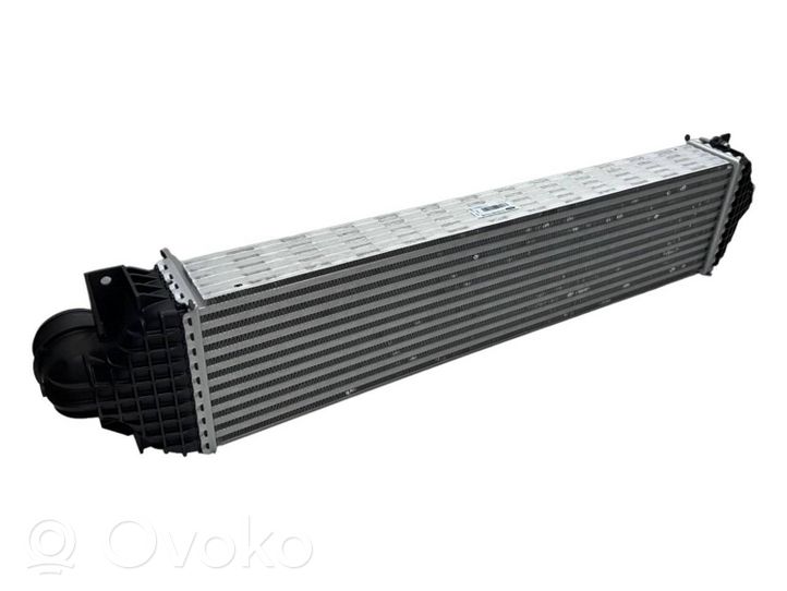 Ford Galaxy Chłodnica powietrza doładowującego / Intercooler E1G36K775HB