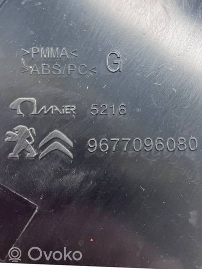 Citroen C4 II Picasso Listwa / Uszczelka szyby drzwi tylnych 9800087080