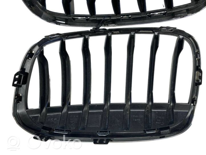 BMW X1 F48 F49 Front bumper upper radiator grill 7354824