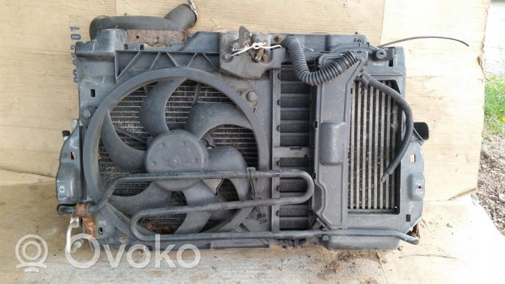 Peugeot 307 Kit Radiateur 9816603980