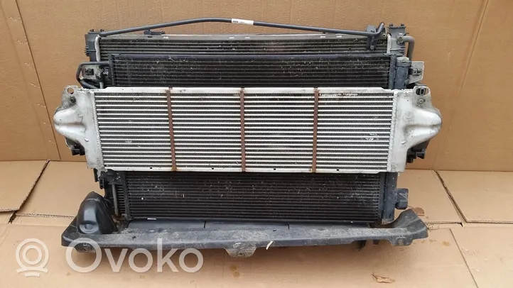 Volkswagen Multivan T5 Coolant radiator 7E0121207B