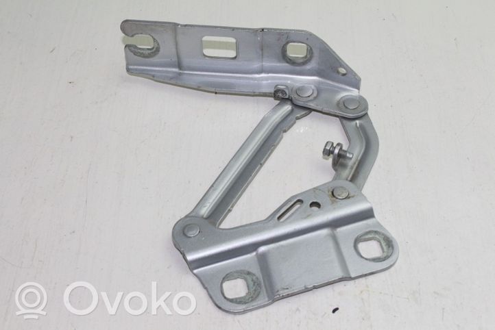 Mercedes-Benz ML W164 Cerniere del vano motore/cofano A2518800228