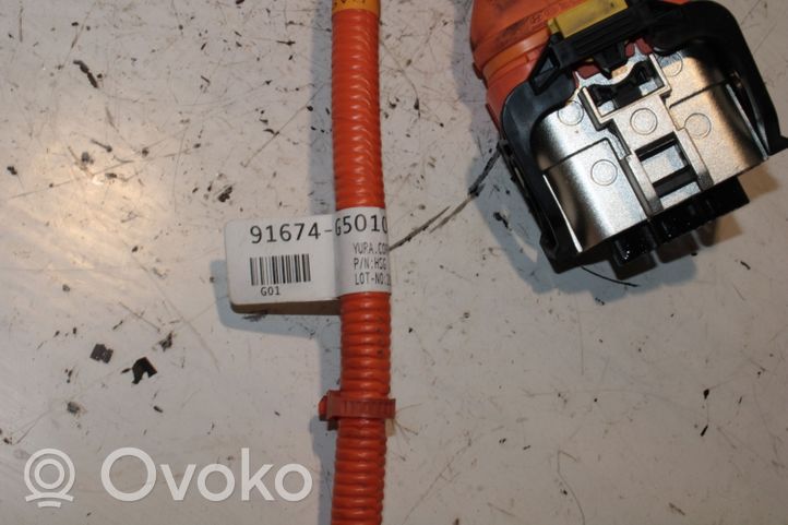 KIA Niro Autres faisceaux de câbles 91674-G5010