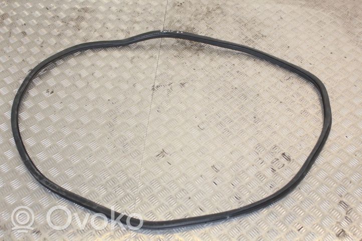 Volkswagen Tiguan Gumowa uszczelka drzwi tylnych 5N0867913