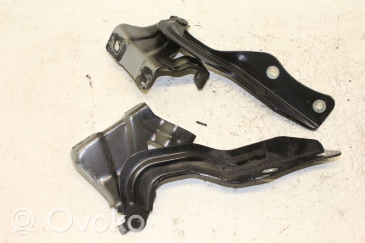 Nissan Qashqai Cerniere del vano motore/cofano 4EAR