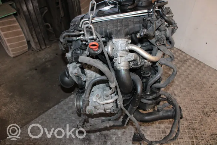 Volkswagen Touran I Engine BKD