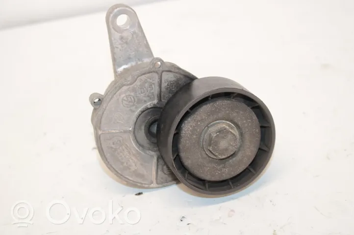 Volkswagen Golf VII Napinacz paska alternatora 04L903315B