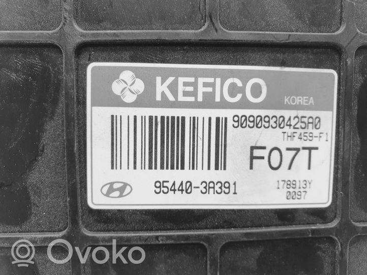 Hyundai Santa Fe Autres dispositifs 954403A391
