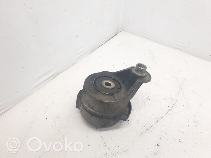 KIA Sorento Napinacz paska wielorowkowego / Alternatora 252814A000