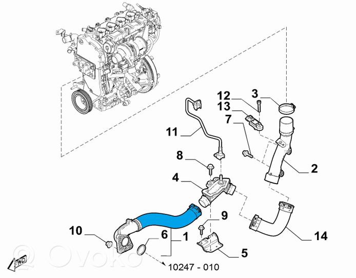 Fiat 124 Spider Välijäähdyttimen letku 6000614086