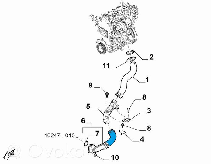 Fiat 124 Spider Välijäähdyttimen letku 6000612008