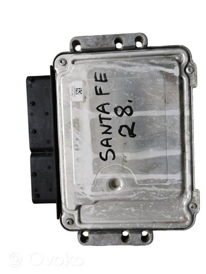 Hyundai Santa Fe Sterownik / Moduł ECU 0281012670