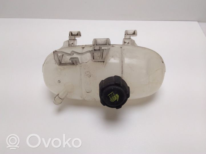 Opel Vivaro Coolant expansion tank/reservoir 217101893R