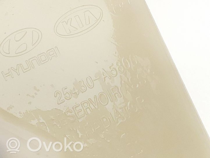 KIA Ceed Serbatoio di compensazione del liquido refrigerante/vaschetta 25430A5800