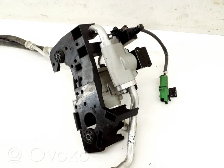 Renault Zoe Tubo flessibile aria condizionata (A/C) 924467761R