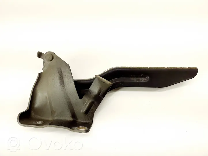 Nissan Qashqai Cerniere del vano motore/cofano 4EAR