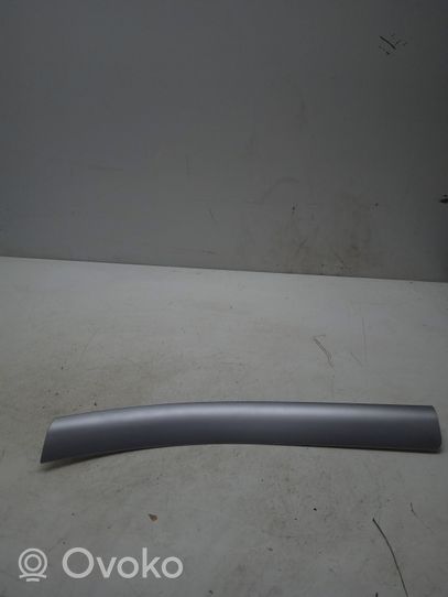 BMW 3 E46 Rivestimento del vano portaoggetti del cruscotto 8196102