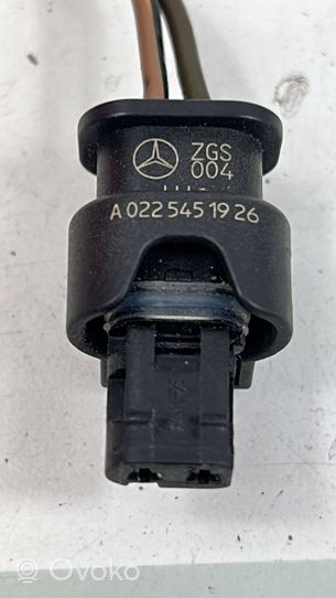 Mercedes-Benz C W205 Altro tipo di cablaggio A0225451926