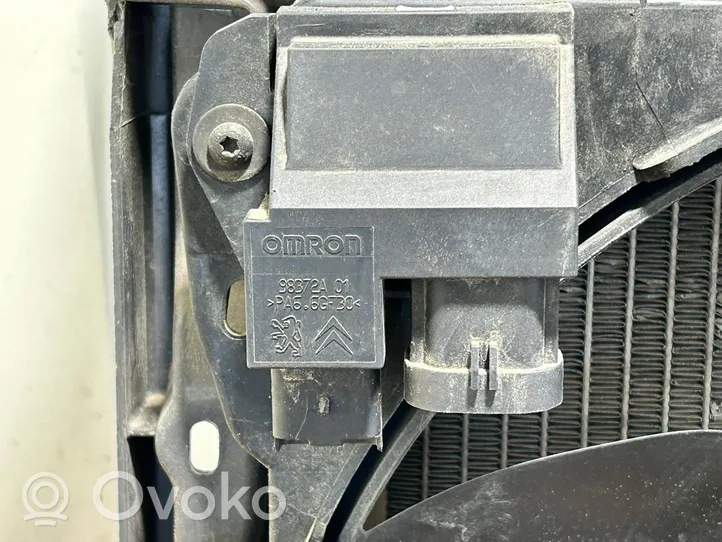 Citroen DS3 Radiatoru panelis (televizors) 
