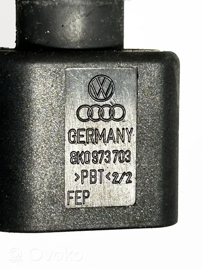 Volkswagen Golf VIII Sensor 8K0973703