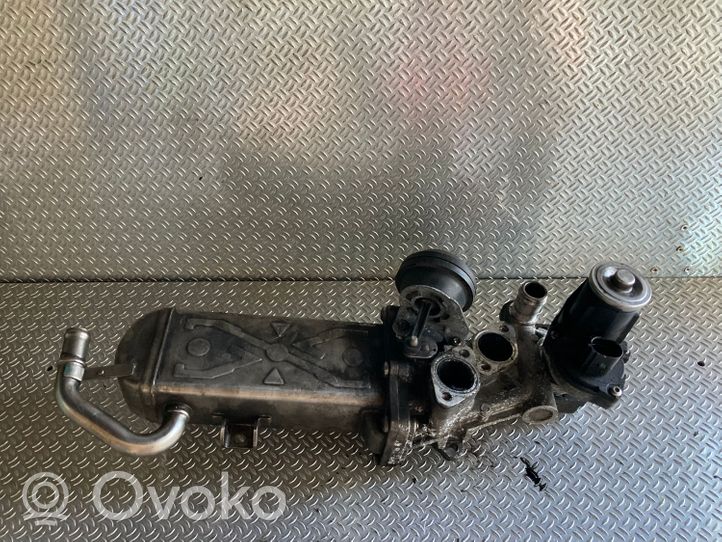 Volkswagen Sharan Chłodnica spalin EGR 