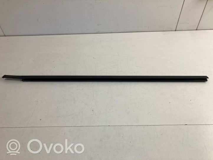 Citroen C5 Rear door glass trim molding 