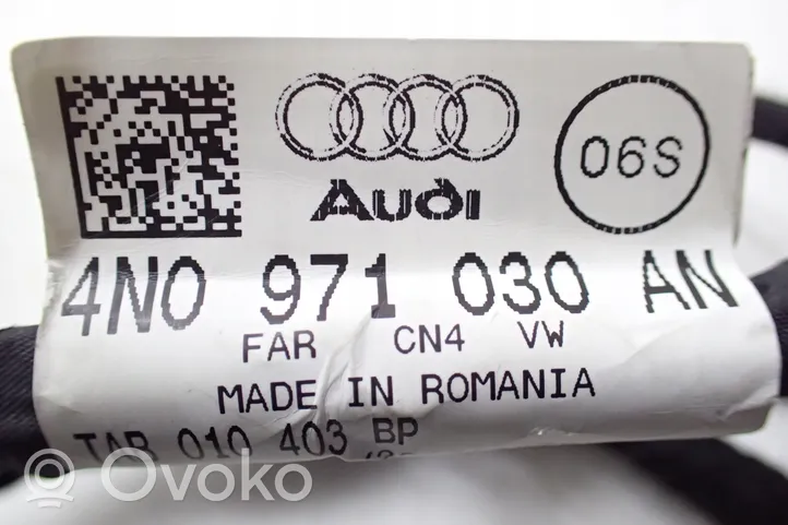 Audi A8 S8 D5 Wiązka przewodów drzwi przednich 4N0971030AN