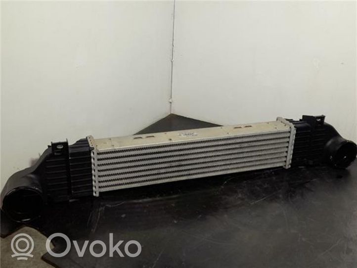 Mercedes-Benz S W220 Chłodnica powietrza doładowującego / Intercooler A2205000000