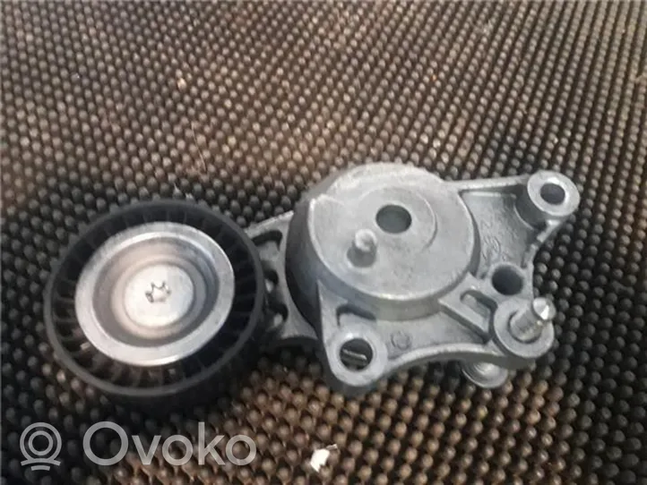 Peugeot 5008 Napinacz paska alternatora 9803757580