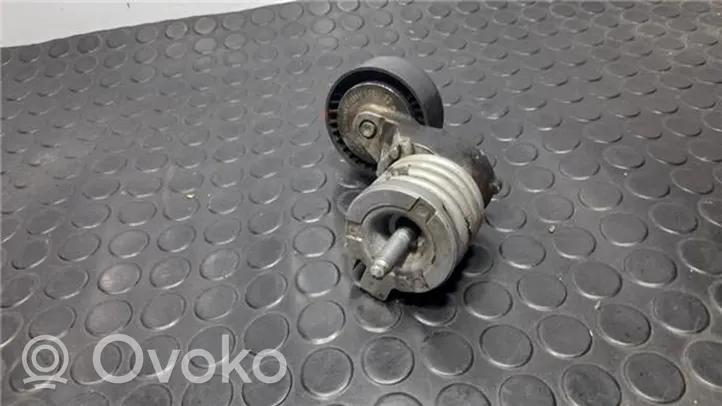 Volkswagen Polo IV 9N3 Napinacz paska alternatora F23848108