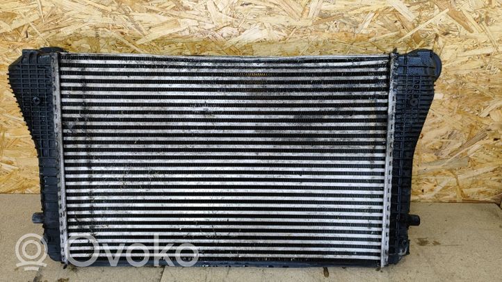 Seat Toledo III (5P) Chłodnica powietrza doładowującego / Intercooler 1K0145803