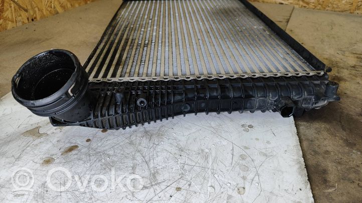 Seat Toledo III (5P) Chłodnica powietrza doładowującego / Intercooler 1K0145803