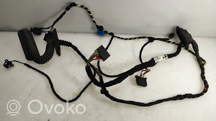 Volkswagen PASSAT CC Rear door wiring loom 3C8971693CM