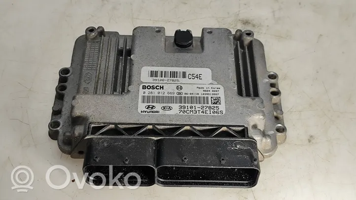 Hyundai Santa Fe Sterownik / Moduł ECU 3910127825