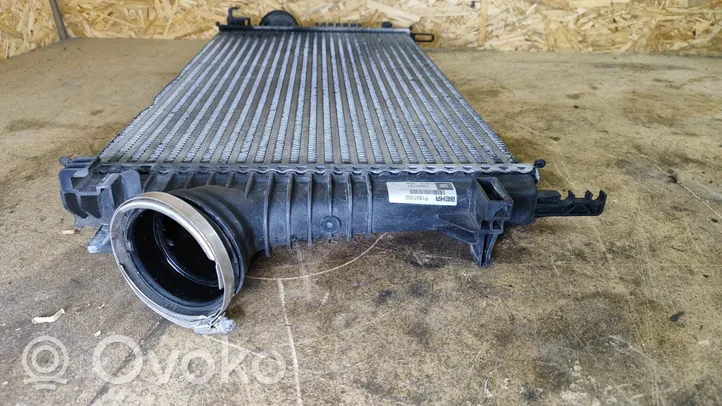 Opel Insignia A Chłodnica powietrza doładowującego / Intercooler 13241751