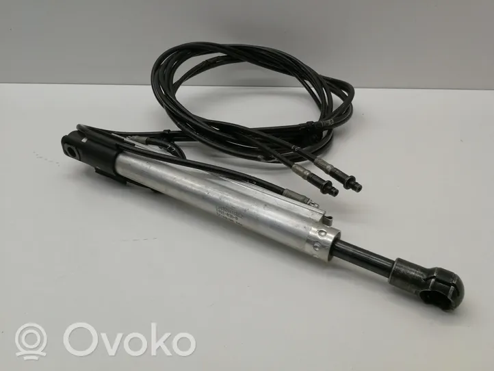 Volkswagen Eos Cylindre hydraulique de toit pliant 1981030B