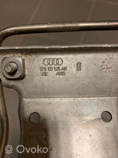 Audi RS6 Vamzdeliai/žarnelės 079103525AK