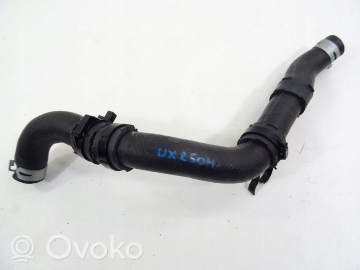 Lexus UX Engine coolant pipe/hose 