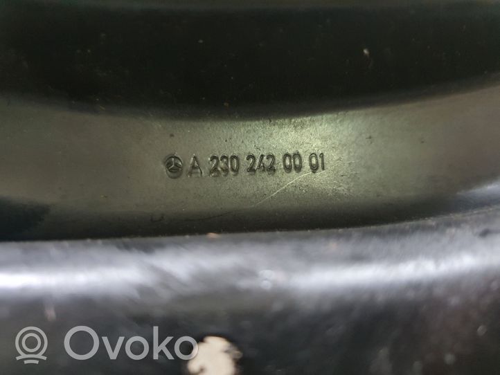 Mercedes-Benz SL R230 Kita dugno detalė A2302420001