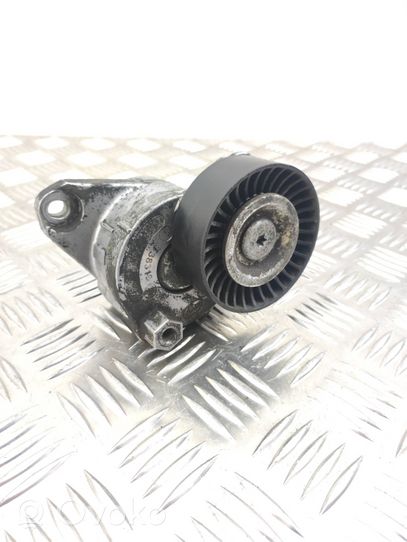 Mercedes-Benz ML W164 Napinacz paska wielorowkowego / Alternatora T38319