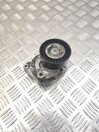 Mercedes-Benz ML W164 Napinacz paska wielorowkowego / Alternatora T38319