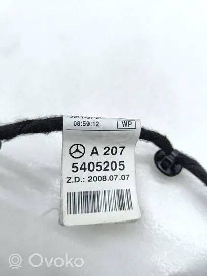 Mercedes-Benz E C207 W207 Wiązka przewodów drzwi przednich A2075405205