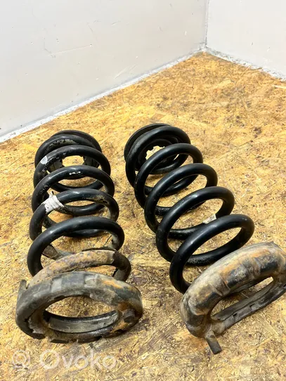 Opel Insignia A Rear coil spring 