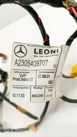 Mercedes-Benz SL R230 Kiti laidai/ instaliacija A2305409707