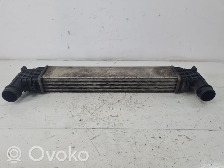 Seat Alhambra (Mk1) Radiatore intercooler 132002748A